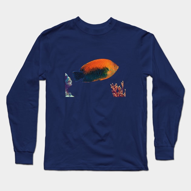 Potter’s Angelfish, Hawaii Long Sleeve T-Shirt by NadJac